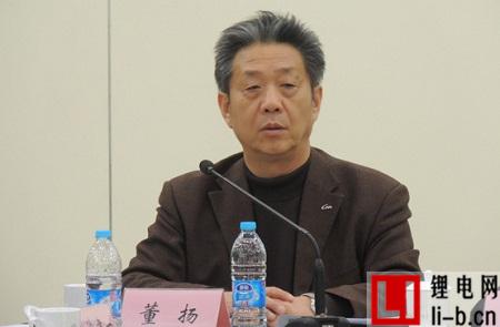 中汽協董揚：汽車企業需要重新審定電動汽車戰略