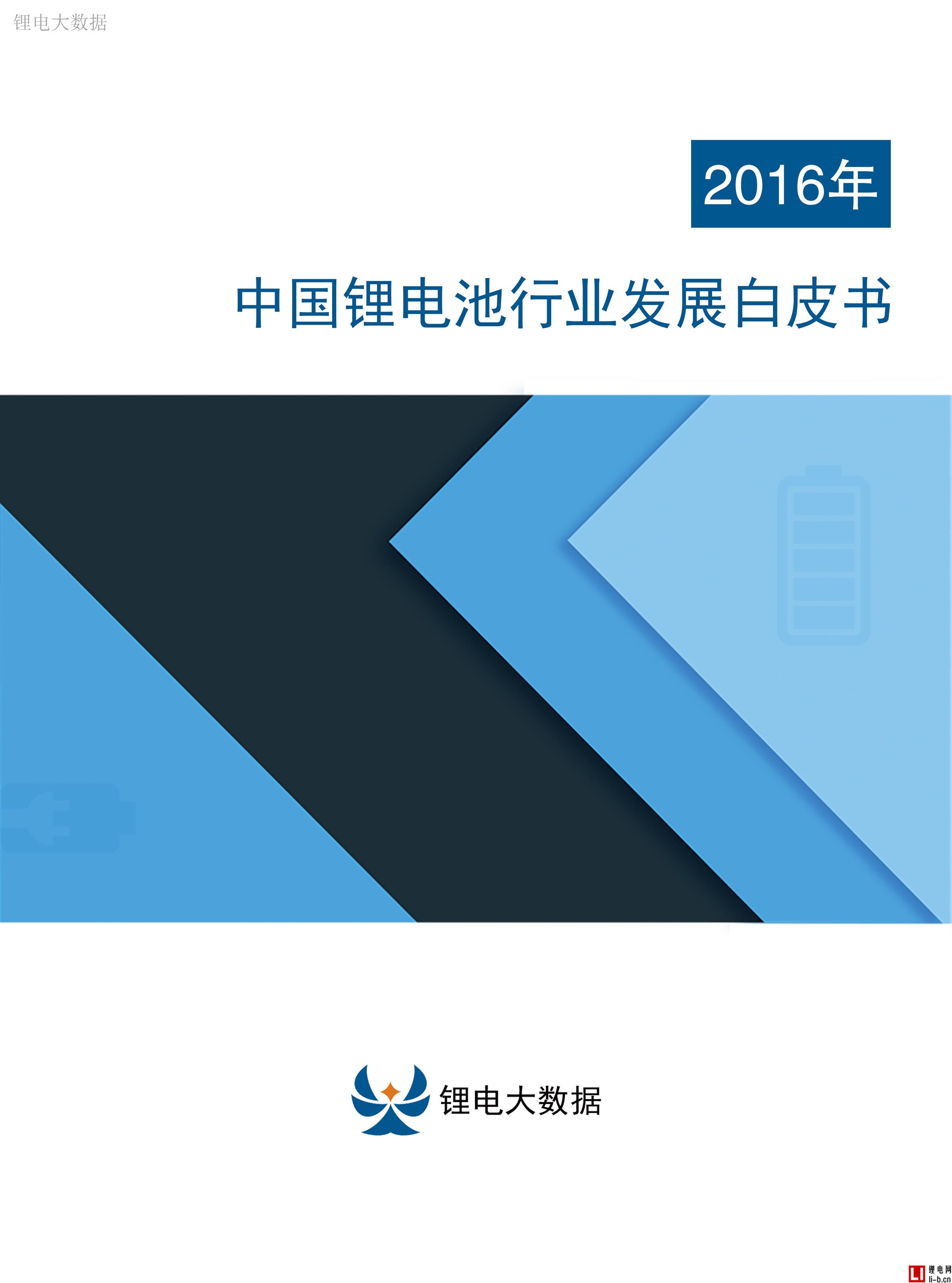2016中國鋰電池產業發展白皮書