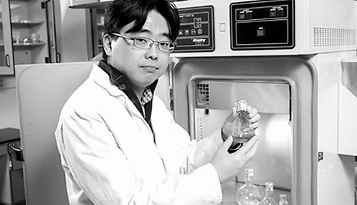 新型生物太陽(yáng)能電池效率倍增