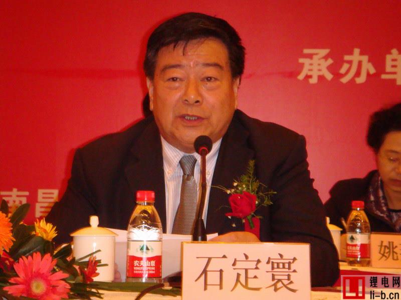 中國可再生能源學(xué)會(huì)理事長(zhǎng)石定寰