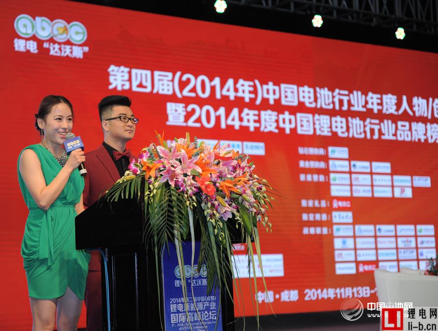 董揚：希望形成針對汽車產業發展的國家意志