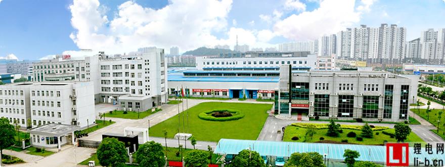湖南杉杉打造全球鋰電池正極材料領先企業