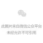 特斯拉中國首次撞車：最貴電動跑車是如何維修的？