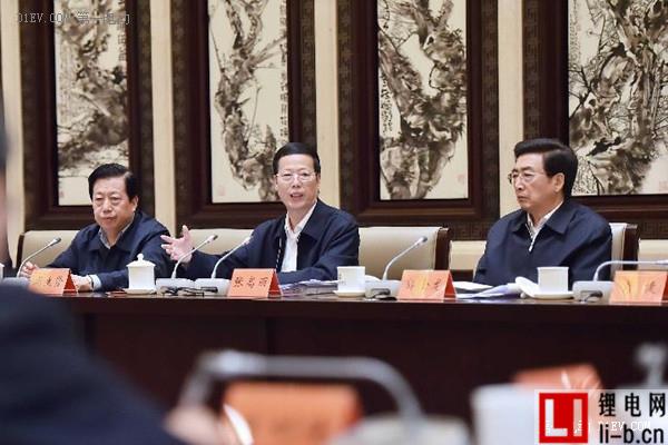 國務院副總理張高麗：抓好新能源車推廣加快配套設施建設