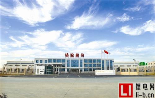 駱駝股份