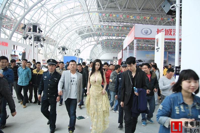 新能源汽車上演“三國殺” 比亞迪迎戰寶馬和特斯拉？