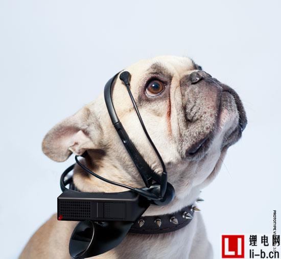 從“可穿戴”到“能穿戴”的溝有多深？