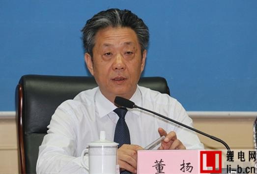 董揚：政策穩定是新能源汽車逆勢增長重要原因