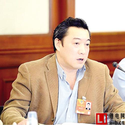 政協(xié)委員連建宇：建議將市場機制引入稀土應用領域