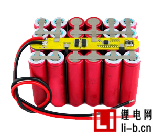 深圳偉之冠電池