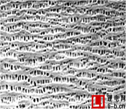 旭成科技干法隔膜：20μm高倍率型雙層隔膜（XCJ2048）
