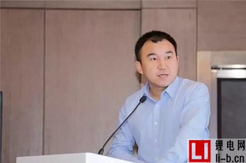 比克電池林建