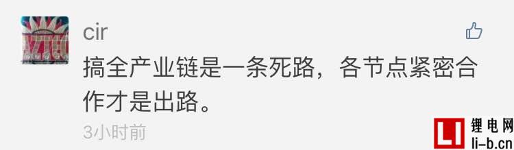 搞全產(chǎn)業(yè)鏈死路一條，各節(jié)點(diǎn)緊密協(xié)作才是出路