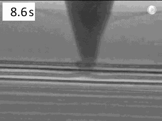 166.gif