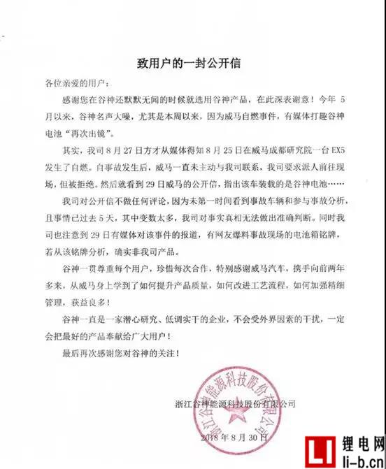 威馬自燃.jpg