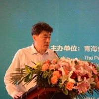 LG化學(xué)副總裁金秀鈴：打開電動(dòng)汽車市場須控制電池成本