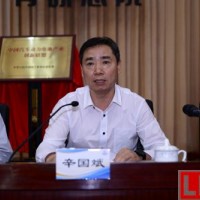 辛國斌觀點：新能源汽車能走多遠最終看動力電池