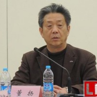 中汽協董揚：汽車企業需要重新審定電動汽車戰略