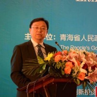 比亞迪王傳福：“十三五”中國鋰電池會形成新業態