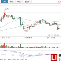 鹽湖股份稱提取碳酸鋰不會(huì)增加生產(chǎn)成本