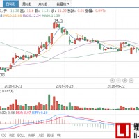子公司恒通客車騙補，西部資源申訴