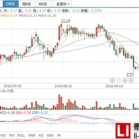 大名城成立上海名恒新能源科技公司，進入新能源產業
