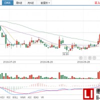 天齊鋰業業績大漲，前三季度凈利潤約12億元