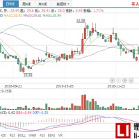 小康股份定增近40億元發展新能源汽車項目