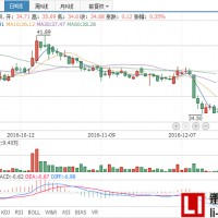 天齊鋰業(yè)終止收購Pampa公司