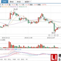 石大勝華：子公司勝華新能源年產2000噸六氟磷酸鋰項目試生產