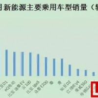 中國新能源汽車市場格局悄然改變