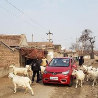 低速電動車整改的背后