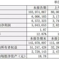 比亞迪年報：2016年營收超千億元，凈利逾54億元