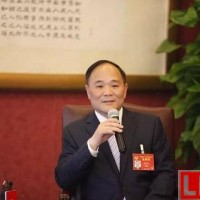 吉利李書福：推廣甲醇汽車是當前過渡方案