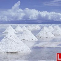 鹽湖股份聯(lián)手比亞迪投5億加碼碳酸鋰