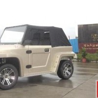 第14張牌照落地，陸地方舟新能源年產5萬輛電動汽車項目獲批