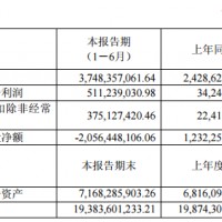冠城大通半年報：上半年凈利潤同比增長1392.93%
