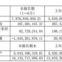 智慧能源半年報出爐：上半年凈利潤為1.08億元