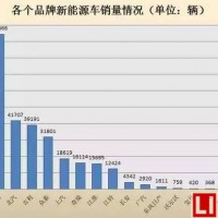 解密比亞迪甩開競爭對手的機會在哪里？