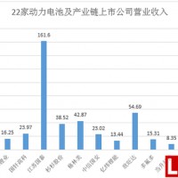 22家動(dòng)力電池領(lǐng)域上市企業(yè)半年報(bào)大PK