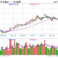 論風口的重要性：天齊鋰業(yè)市值趕超43倍營收中國鋁業(yè)