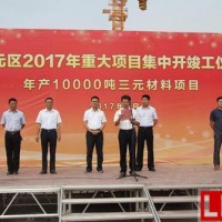 廈鎢新能源投年產10000噸三元正極材料項目