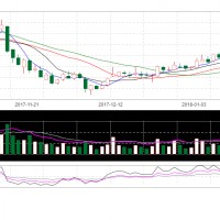 平安證券：全球鋰電正負極龍頭——杉杉股份再騰飛