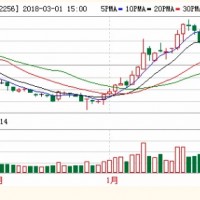 切入上游鋰電材料 兆新股份加碼電池回收
