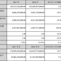 凈利大幅下滑 此前生猛的比亞迪怎么了？