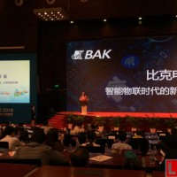 相比寧德時代 早起的比克電池布局到哪了？