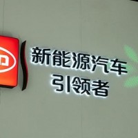 新能源汽車之光——比亞迪財務數(shù)據(jù)背后的危與機