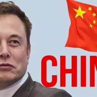 本土新能源汽車市場失利 特斯拉或將走入中國！