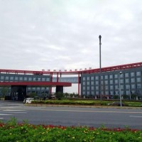 新能源汽車訂單減少 銀隆生病了？
