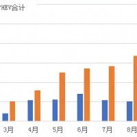 上海新能源汽車使用情況分析